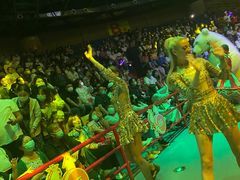 -俄罗斯国家大马戏团