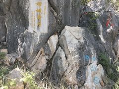-西华公园