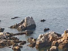 -养马岛旅游度假区