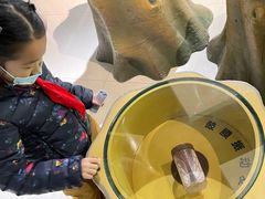 -上海昆虫博物馆