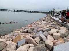 -宝安西湾红树林湿地公园