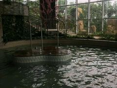 -徂徕山森林康养度假谷温泉