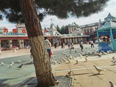 -沈阳方特欢乐世界