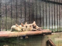 -昆明动物园