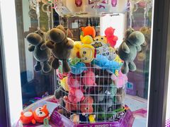 -PAWTOY爪e玩偶店(天兴罗斯福店)