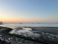 -万绿园