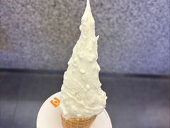 -野人先生Gelato(上海长宁龙之梦店)