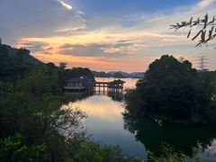 -水濂山森林公园