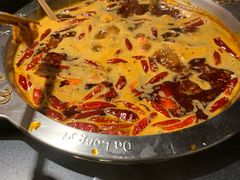 -大龙燚火锅(春熙店)