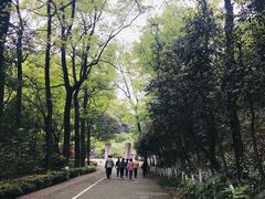 -重庆抗战遗址博物馆