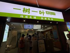 -一树一叶·福建茶档(石鼓路店)