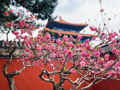 -故宫博物院(故宫)