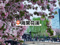 -海棠花溪(元大都城垣遗址公园)