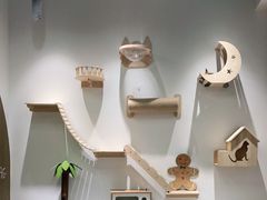 -COLOR PETS 撸猫馆·购猫·猫咖(长风大悦城店)