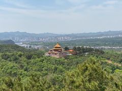 -磬锤峰森林公园
