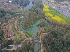 -桤木河湿地公园