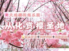 -天适樱花悠乐园