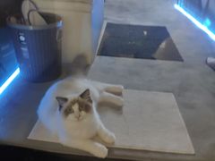 -零纪元VR体验馆·桌游(黄浦店)