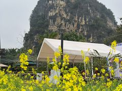 -明仕田园