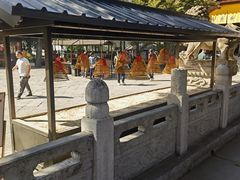 -西安大兴善寺
