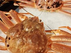 -南海渔村(珠江新城店)