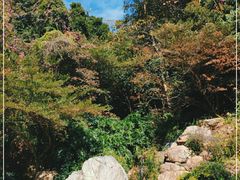 -广州市白云山风景名胜区
