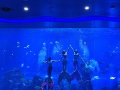 -石家庄极地海洋世界