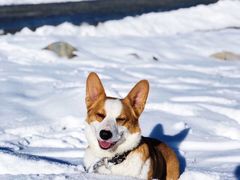 -太子岭滑雪场