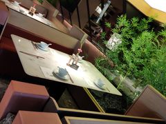 -初蓉丨遇见新川菜(亲贤街荣耀店)