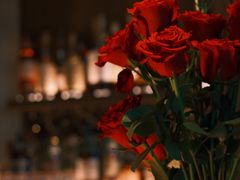 -BAR Signal·鸡尾酒酒吧