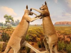 -陕西自然博物馆