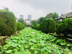 -四川大学(华西校区)