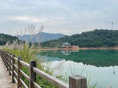 -海煮叹鲜·粥底火锅·港式海鲜打边炉(赛银国际广场店)
