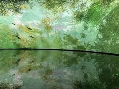 -中国湿地博物馆