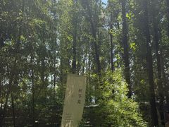 -林间山庄