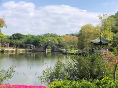-江心屿景区