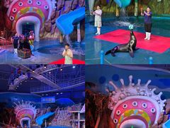 -烟台海昌鲸鲨海洋公园