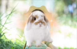 -爱儿美儿童摄影(奥森公园店)
