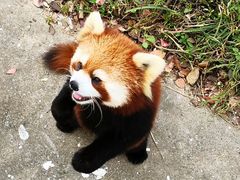 -合肥野生动物园
