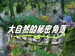 -沂蒙山旅游区龟蒙景区