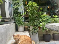 -知亘茶食