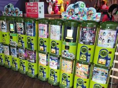 -大鲁阁保龄球(苏州园区店)