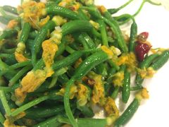 炝炒黄瓜苗-文三里屯面馆(三里屯店)