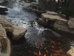 -森谷美食公园(杨行店)