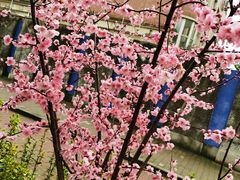 -王二甩老木子鸡(江湾店)