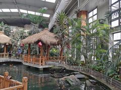 -南宫五洲植物乐园