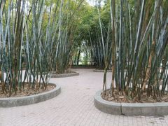 -晓港公园