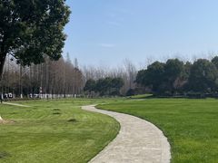 -合肥滨湖国家森林公园
