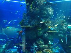 -新加坡海洋生态馆