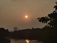 -海珠湖公园